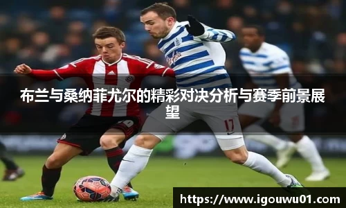 布兰与桑纳菲尤尔的精彩对决分析与赛季前景展望